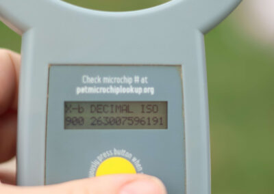 Harrison's Microchip ID
