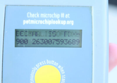 Jeffery's Microchip ID