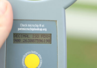 Skyler's Microchip ID
